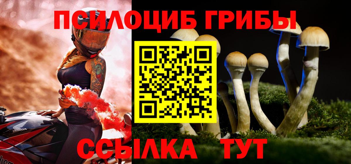 Галлюциногенные грибы прущие грибы  Вход с VPN  Верхний Уфалей  Псилоцибиновые грибы мицелий 